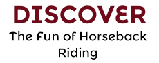 discover-the-fun-of-horseback-riding.png